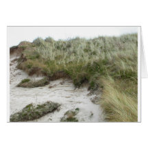folly dune cards