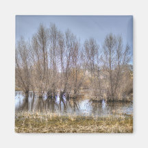 Folsom Dried Pond Magnets