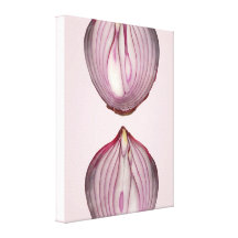 Food - Vegetable - Cross section of a Red Onion Stretched Canvas Print
