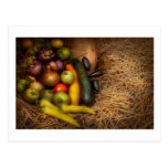 Food - Vegetables - Very early harvest Postcard