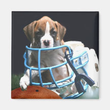 Football Boxer puppy magnet