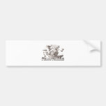 Football iGuide End Zone Bumper Stickers