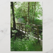 Footbridge in Woodland. Flyer