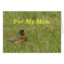 For My Mum - Robin in the Grass Cards