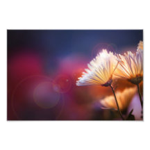 For You Only Photo