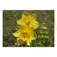 For Your Spring Birthday-Daffodils Greeting Card
