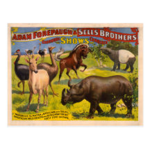 Forepaugh and Sells Wondrous Beasts Circus Poster Postcard