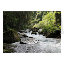 Forest and Stream Blank Notecards
