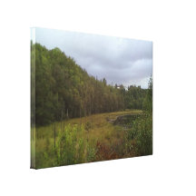 forest and tree gallery wrap canvas