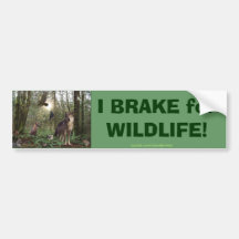 Forest Animals Gifts Bumper Stickers