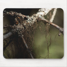Forest Fuzz; No Text Mousepad