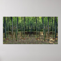 Forest of Bamboo - JAPAN Poster