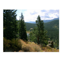 Forest overlook postcards