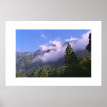 Forest posters