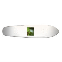 Forest Skate Boards