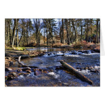 Forest Stream Greeting Card