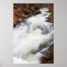 Forest Stream in Early Spring Posters