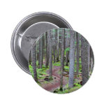 Forest Trail Pin