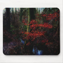 Forest Woodland Stream Mousepad