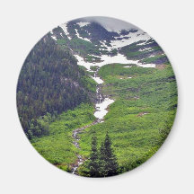 Forests Hillsides Fog Clouds Pines Trees Pinetrees Magnets
