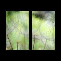 Forêt d'akènes canvas prints