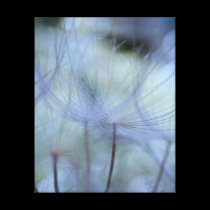 Forêt d'akènes canvas prints