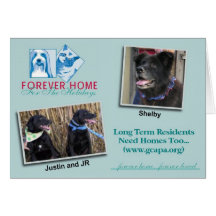 Forever Home for the Holidays Cards