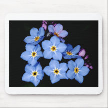 Forget-me-not Mouse Pads