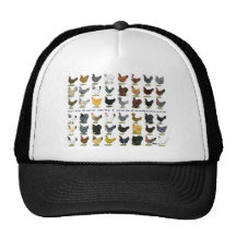 Forty-eight Hen Promo Hats