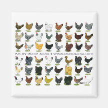 Forty-eight Hen Promo Refrigerator Magnets