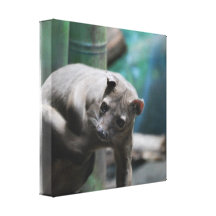 Fossa Canvas Print