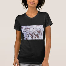 Fossil Rock Tshirts