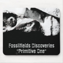 Fossilfields Discoveries Mouse Pad
