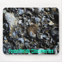 Fossilfields DiscoveriesMouse Pad