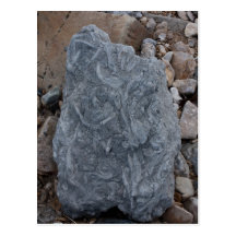 Fossils in the Paluxy River postcard