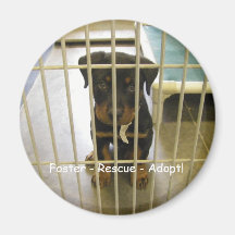 Foster - Rescue - Adopt Magnet