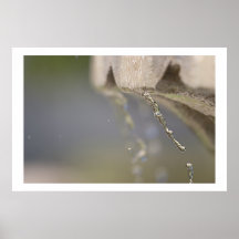 Fountain drip print
