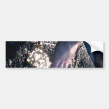 Fountain of Youth Bumper Stickers