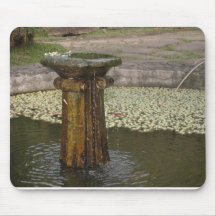 Fountain of Youth Mousepad