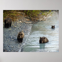 Four Bears Poster