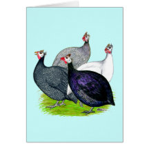Four Guineas Greeting Card