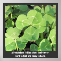 Four Leaf Clover Best Friend Good Luck Poster