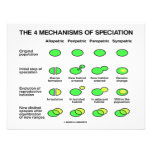 Four Mechanisms Of Speciation (Evolution) Invitations