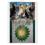 Fowl Language by Paul Jackson aws,nws Cards