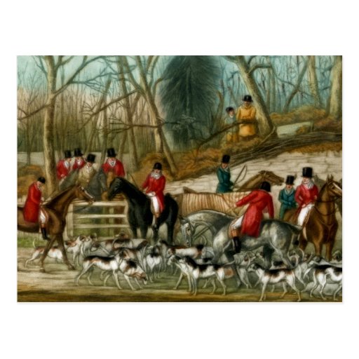 Fox Hunting 1 Post Card