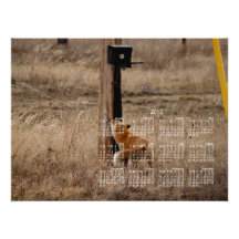 Fox Loves Utility Pole; 2013 Calendar Photo Print