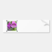Foxglove Care Bumper Stickers