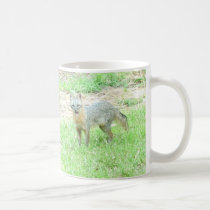 Foxy4 mugs