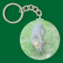 Foxy keychains