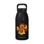 Fractal Stepped Spiral Water Bottle